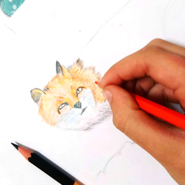 лиса цветными карандашами